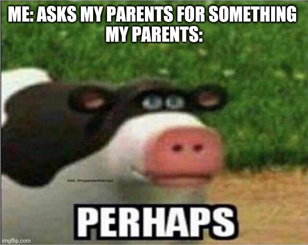 Perhaps | ME: ASKS MY PARENTS FOR SOMETHING 
MY PARENTS: | image tagged in perhaps cow | made w/ Imgflip meme maker