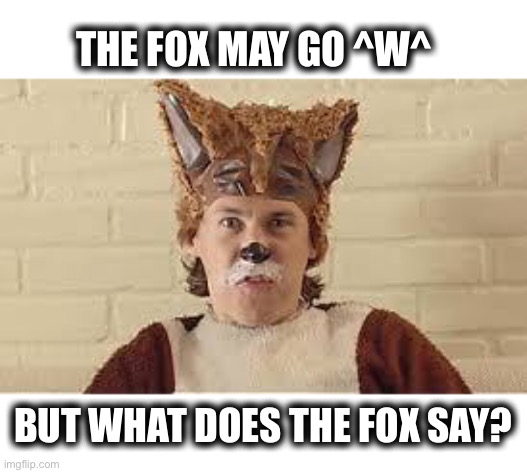 What Does The Fox Say | THE FOX MAY GO ^W^ BUT WHAT DOES THE FOX SAY? | image tagged in what does the fox say | made w/ Imgflip meme maker
