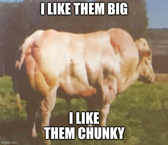 I like them big | I LIKE THEM BIG; I LIKE THEM CHUNKY | image tagged in chunky cow | made w/ Imgflip meme maker