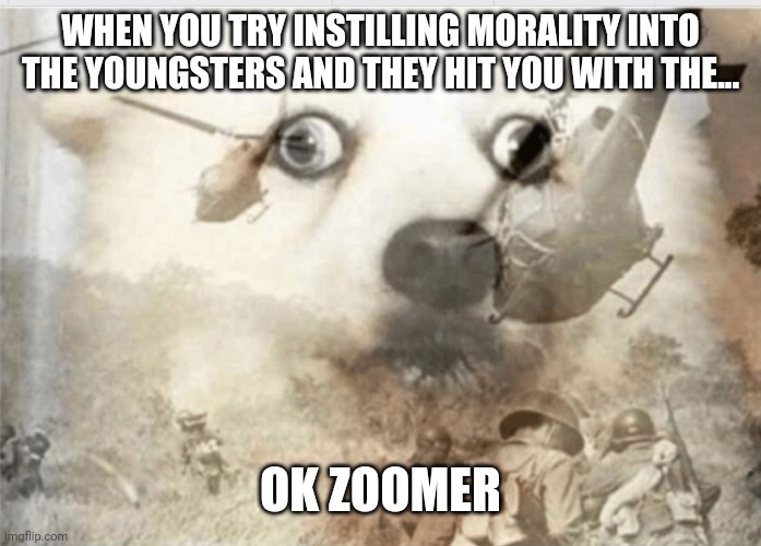 PTSD dog | WHEN YOU TRY INSTILLING MORALITY INTO THE YOUNGSTERS AND THEY HIT YOU WITH THE... OK ZOOMER | image tagged in ptsd dog | made w/ Imgflip meme maker