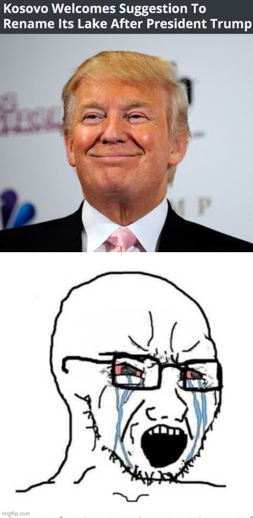 Vote for Donald Trump on November 3, and for TobyThePug on October 29 in the IMGFLIP_PRESIDENTS stream. | image tagged in donald trump,triggered liberal,funny,memes,politics | made w/ Imgflip meme maker