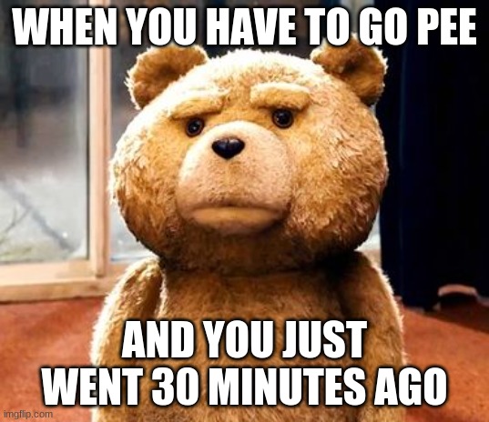 TED Meme | WHEN YOU HAVE TO GO PEE; AND YOU JUST WENT 30 MINUTES AGO | image tagged in memes,ted | made w/ Imgflip meme maker