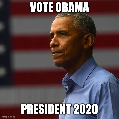 Michelle for VP | VOTE OBAMA; PRESIDENT 2020 | image tagged in meme | made w/ Imgflip meme maker