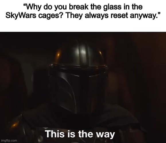 This is the Way | “Why do you break the glass in the SkyWars cages? They always reset anyway.” | image tagged in this is the way,server,minecraft,servers,mandalorian,pvp | made w/ Imgflip meme maker