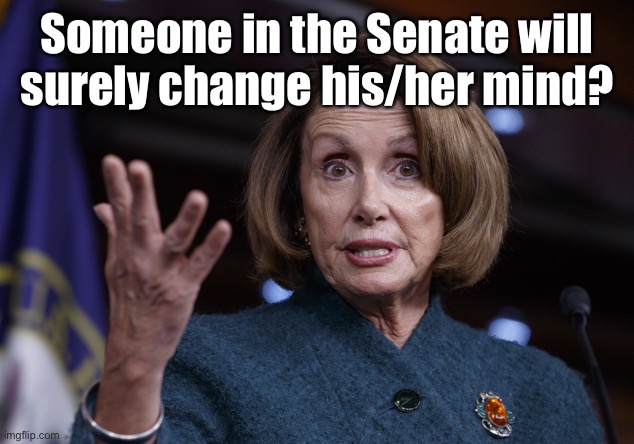 Good old Nancy Pelosi | Someone in the Senate will surely change his/her mind? | image tagged in good old nancy pelosi | made w/ Imgflip meme maker