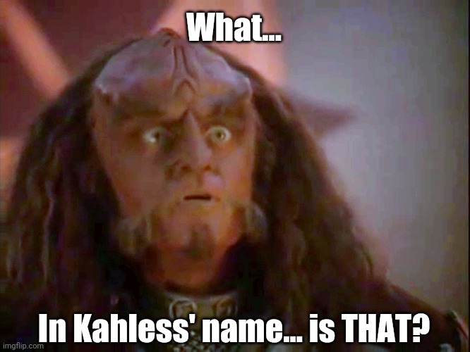What in Kahless's name is that | What... In Kahless' name... is THAT? | image tagged in gowron glory to you | made w/ Imgflip meme maker