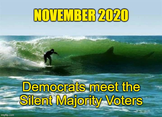 That "blue wave" will soon turn blood red. | NOVEMBER 2020; Democrats meet the Silent Majority Voters | image tagged in election 2020 | made w/ Imgflip meme maker