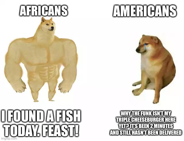 Actually Americans are the odd ones out | AMERICANS; AFRICANS; I FOUND A FISH TODAY. FEAST! WHY THE FUNK ISN’T MY TRIPLE CHEESEBURGER HERE YET? IT’S BEEN 2 MINUTES AND STILL HASN’T BEEN DELIVERED | image tagged in buff doge vs cheems | made w/ Imgflip meme maker