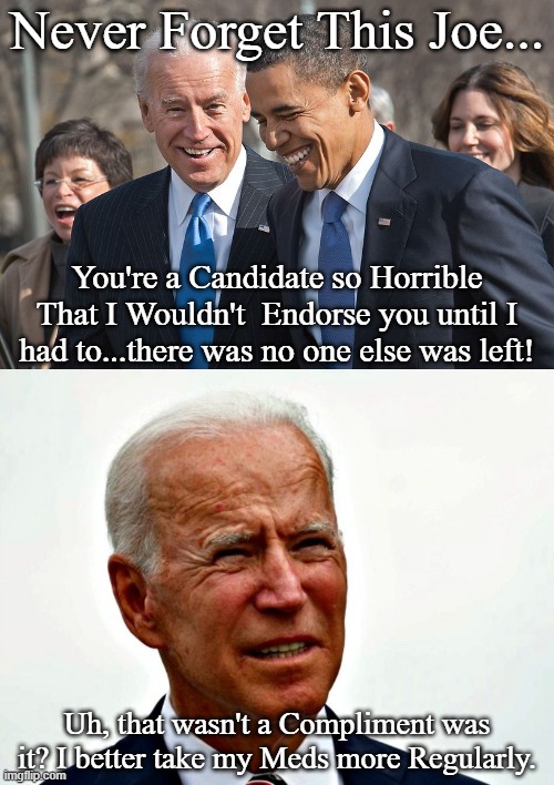 WHO WOULD BE SO DUMB AS TO VOTE FOR A GUY THAT HIS FORMER BOSS WOULDN'T ENDORSE UNTIL THERE WAS NO ONE ELSE. ANYONE BUT BIDEN! | Never Forget This Joe... You're a Candidate so Horrible That I Wouldn't  Endorse you until I had to...there was no one else was left! Uh, that wasn't a Compliment was it? I better take my Meds more Regularly. | image tagged in biden stupid,biden for basement,biden 2020,non endorsed,until no on left,barack obama | made w/ Imgflip meme maker