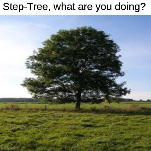 What are you doing? | Step-Tree, what are you doing? | image tagged in memes | made w/ Imgflip meme maker