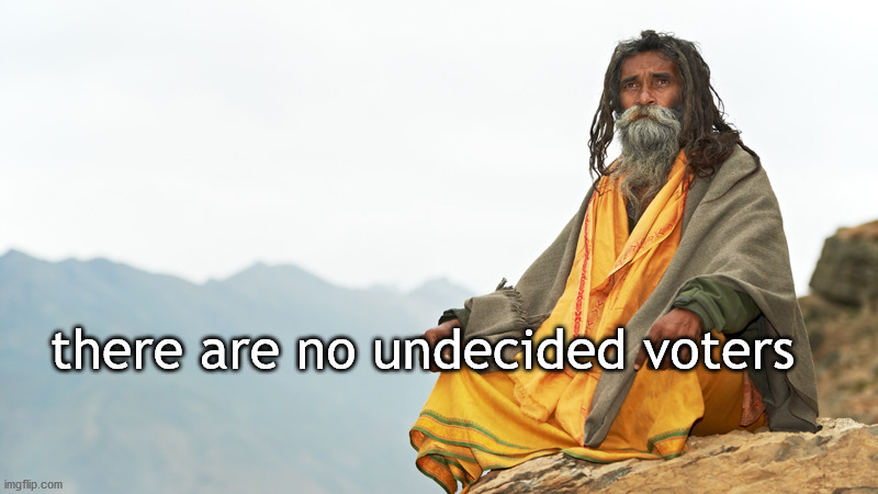 undecided voters | there are no undecided voters | image tagged in politics | made w/ Imgflip meme maker