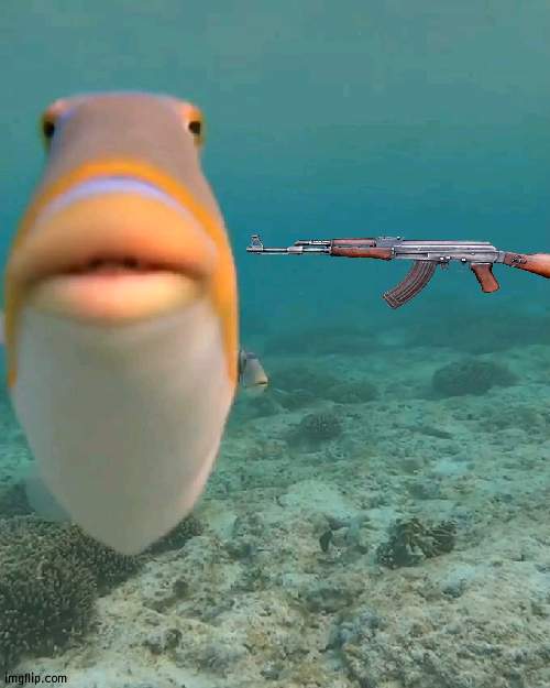 staring fish | image tagged in staring fish | made w/ Imgflip meme maker