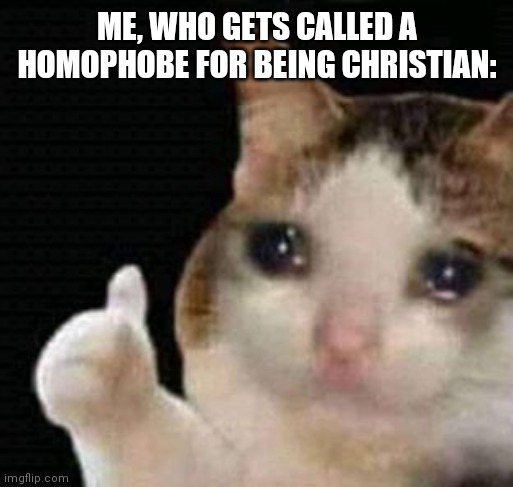 crying thumbs up | ME, WHO GETS CALLED A HOMOPHOBE FOR BEING CHRISTIAN: | image tagged in crying thumbs up | made w/ Imgflip meme maker