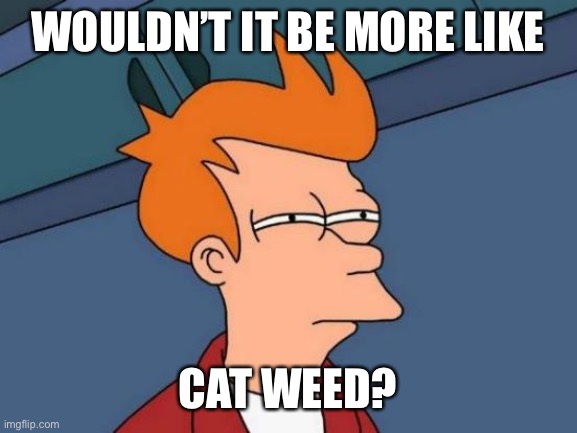 Futurama Fry Meme | WOULDN’T IT BE MORE LIKE CAT WEED? | image tagged in memes,futurama fry | made w/ Imgflip meme maker