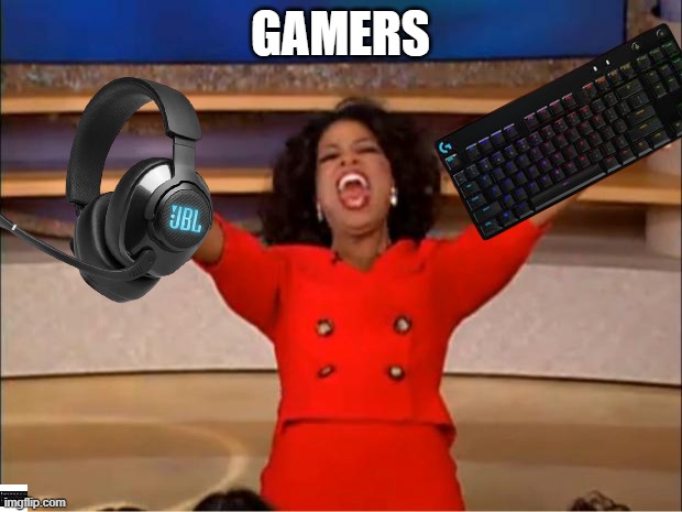 Oprah You Get A Meme | GAMERS | image tagged in memes,oprah you get a | made w/ Imgflip meme maker