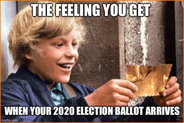 2020 election | THE FEELING YOU GET; WHEN YOUR 2020 ELECTION BALLOT ARRIVES | image tagged in the golden ticket,election 2020 | made w/ Imgflip meme maker