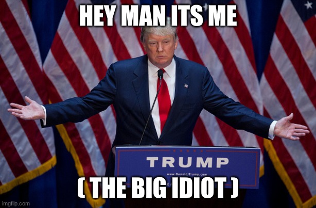 Donald Trump | HEY MAN ITS ME; ( THE BIG IDIOT ) | image tagged in donald trump | made w/ Imgflip meme maker
