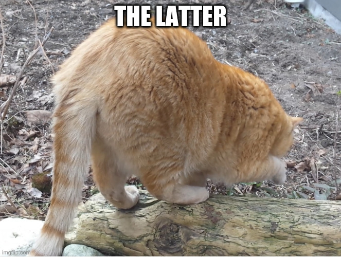 big ass | THE LATTER | image tagged in big ass | made w/ Imgflip meme maker