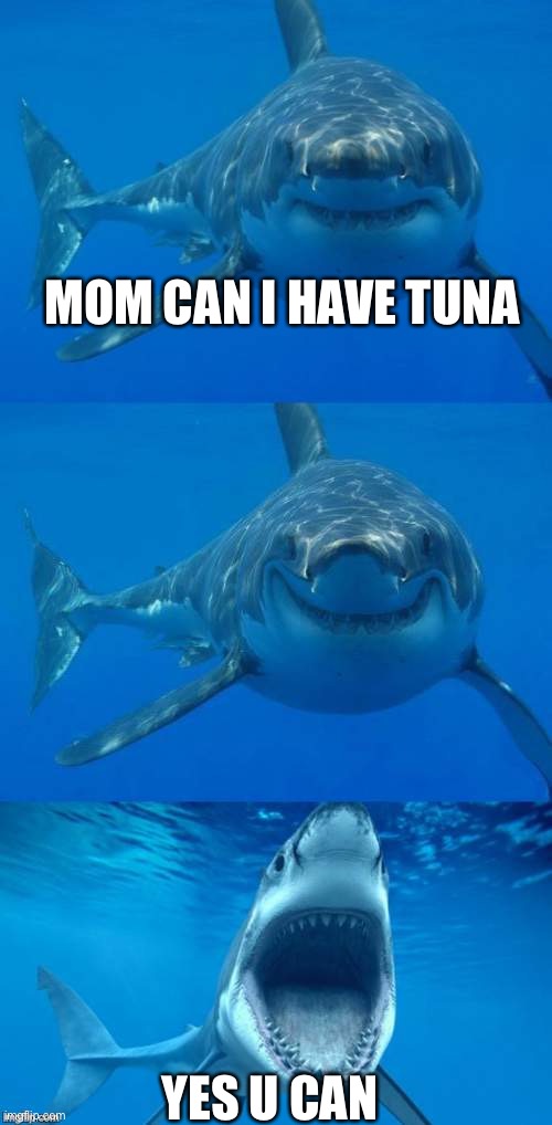 me eating tuna for my breakfast | MOM CAN I HAVE TUNA; YES U CAN | image tagged in bad shark pun | made w/ Imgflip meme maker