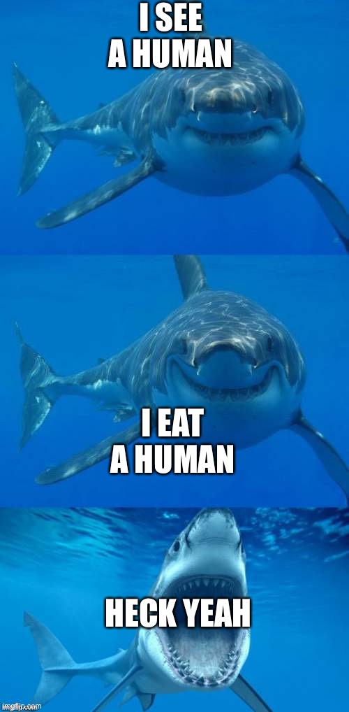 E | I SEE A HUMAN; I EAT A HUMAN; HECK YEAH | image tagged in bad shark pun | made w/ Imgflip meme maker