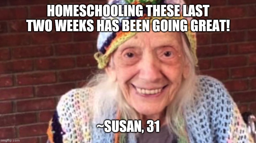 Homeschooling is so fun | HOMESCHOOLING THESE LAST TWO WEEKS HAS BEEN GOING GREAT! ~SUSAN, 31 | image tagged in covid-19 | made w/ Imgflip meme maker