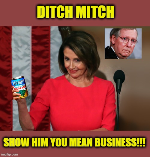 Turtle Soup Anyone???? | DITCH MITCH; SHOW HIM YOU MEAN BUSINESS!!! | image tagged in mitch mcconnell,nancy pelosi,election 2020,turtle | made w/ Imgflip meme maker