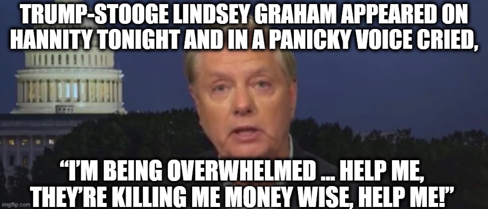 And this is what happens when you hitch your wagon to an ignorant traitor. | TRUMP-STOOGE LINDSEY GRAHAM APPEARED ON HANNITY TONIGHT AND IN A PANICKY VOICE CRIED, “I’M BEING OVERWHELMED … HELP ME, THEY’RE KILLING ME MONEY WISE, HELP ME!” | image tagged in donald trump,lindsey graham,sean hannity,loser,election,broke | made w/ Imgflip meme maker