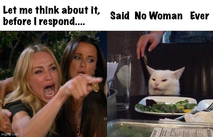 Woman Yelling At Cat | Let me think about it, 
before I respond.... Said  No Woman   Ever | image tagged in memes,woman yelling at cat | made w/ Imgflip meme maker