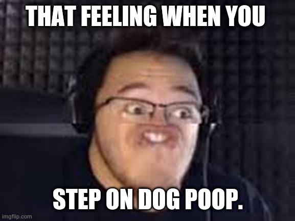 Funny Markiplier | THAT FEELING WHEN YOU; STEP ON DOG POOP. | image tagged in funny markiplier | made w/ Imgflip meme maker