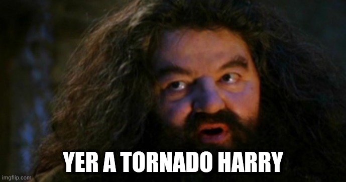 Yer a wizard Harry  | YER A TORNADO HARRY | image tagged in yer a wizard harry | made w/ Imgflip meme maker