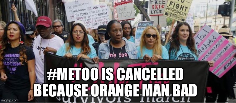 #MeTooIsCancelled | #METOO IS CANCELLED BECAUSE ORANGE MAN BAD | image tagged in metoo | made w/ Imgflip meme maker