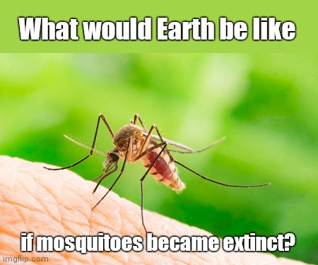 What if these major disease carriers became extinct? Would life on Earth be better, worse or something else entirely? | What would Earth be like; if mosquitoes became extinct? | image tagged in mosquito,life,earth,mosquitoes,species extinction | made w/ Imgflip meme maker
