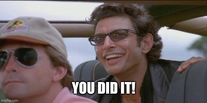 You did it. | YOU DID IT! | image tagged in you did it | made w/ Imgflip meme maker