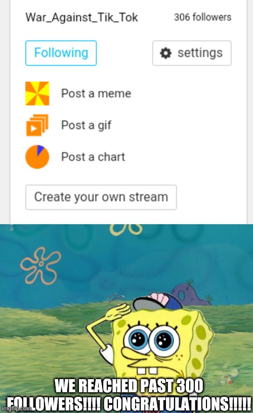 WE REACHED PAST 300 FOLLOWERS!!!! CONGRATULATIONS!!!!! | image tagged in spongebob salute | made w/ Imgflip meme maker