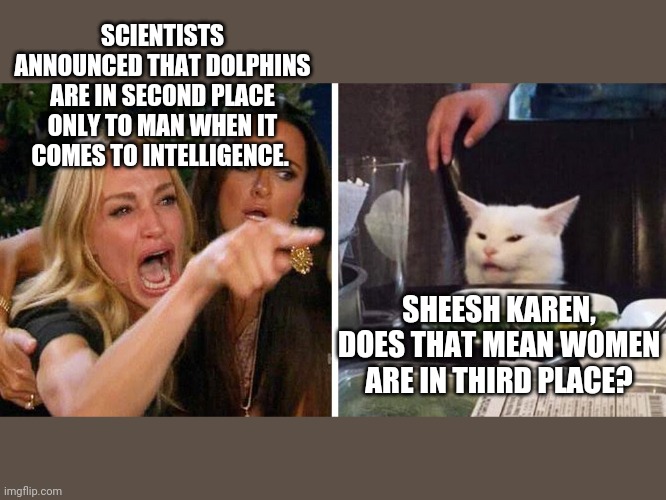 Smudge the cat | SCIENTISTS ANNOUNCED THAT DOLPHINS ARE IN SECOND PLACE ONLY TO MAN WHEN IT COMES TO INTELLIGENCE. SHEESH KAREN, DOES THAT MEAN WOMEN ARE IN THIRD PLACE? | image tagged in smudge the cat | made w/ Imgflip meme maker