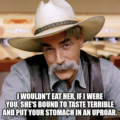 SARCASM COWBOY | I WOULDN'T EAT HER, IF I WERE YOU. SHE'S BOUND TO TASTE TERRIBLE AND PUT YOUR STOMACH IN AN UPROAR. | image tagged in sarcasm cowboy | made w/ Imgflip meme maker