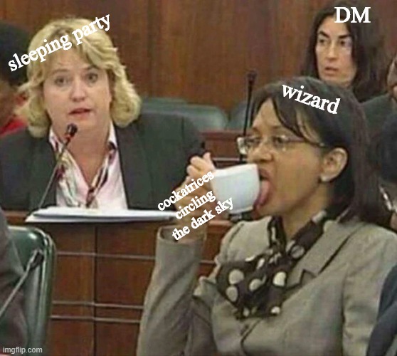 D&D wizard |  DM; sleeping party; wizard; cockatrices circling the dark sky | image tagged in licking coffee cup,dungeons and dragons | made w/ Imgflip meme maker
