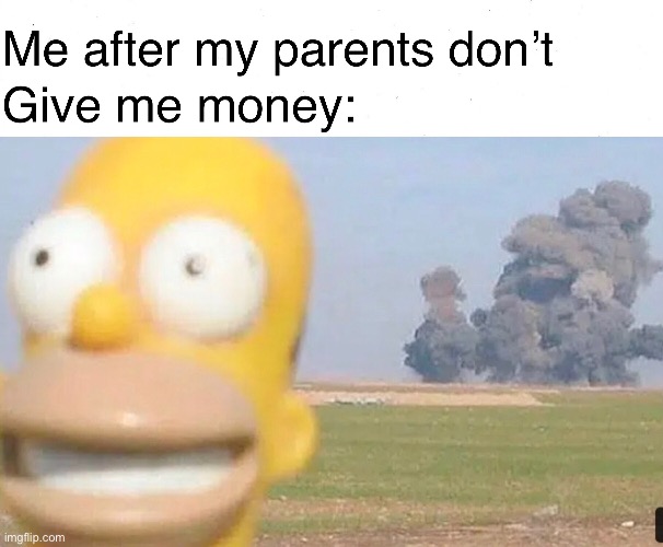 Spoiled kids be like: | image tagged in homer simpson,bomb,funny,funny memes,memes | made w/ Imgflip meme maker