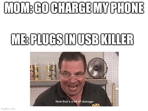 Me acting dumb | MOM: GO CHARGE MY PHONE; ME: PLUGS IN USB KILLER | image tagged in blank white template | made w/ Imgflip meme maker