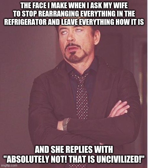 I just came up with this when I couldn't find my hot dogs. | THE FACE I MAKE WHEN I ASK MY WIFE TO STOP REARRANGING EVERYTHING IN THE REFRIGERATOR AND LEAVE EVERYTHING HOW IT IS; AND SHE REPLIES WITH "ABSOLUTELY NOT! THAT IS UNCIVILIZED!" | image tagged in memes,face you make robert downey jr,wife,refrigerator | made w/ Imgflip meme maker
