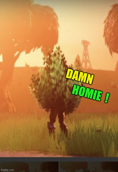 Fortnite bush | DAMN HOMIE  ! | image tagged in fortnite bush | made w/ Imgflip meme maker