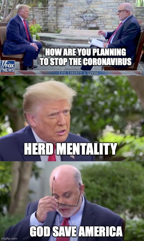 Donald Trump, "Herd Mentality" | HOW ARE YOU PLANNING TO STOP THE CORONAVIRUS; HERD MENTALITY; GOD SAVE AMERICA | image tagged in donald trump,herd mentality | made w/ Imgflip meme maker
