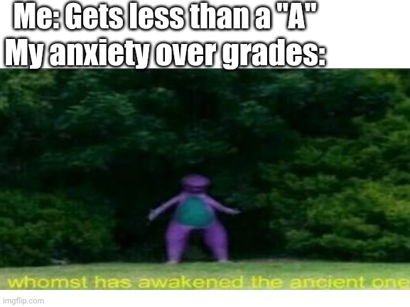 I'm An Perfectionist When It Comes To Grades (everyone else in my family are chill about it) |  Me: Gets less than a "A"; My anxiety over grades: | made w/ Imgflip meme maker