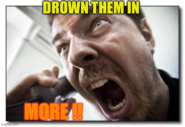 Shouter Meme | DROWN THEM IN MORE !! | image tagged in memes,shouter | made w/ Imgflip meme maker