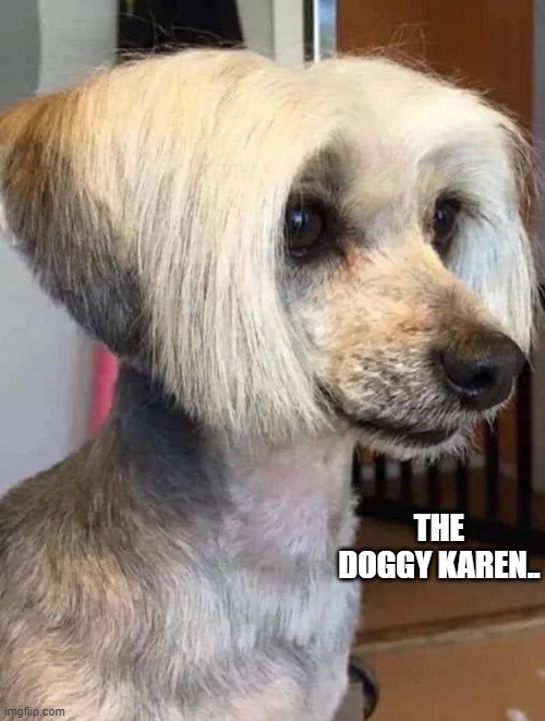 Doggy Karen | THE DOGGY KAREN.. | image tagged in so true memes | made w/ Imgflip meme maker