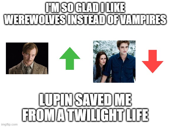 DOWN WITH BLOODY TWILIGHT | I'M SO GLAD I LIKE WEREWOLVES INSTEAD OF VAMPIRES; LUPIN SAVED ME FROM A TWILIGHT LIFE | image tagged in blank white template | made w/ Imgflip meme maker