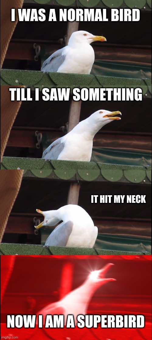 Inhaling Seagull Meme | I WAS A NORMAL BIRD; TILL I SAW SOMETHING; IT HIT MY NECK; NOW I AM A SUPERBIRD | image tagged in memes,inhaling seagull | made w/ Imgflip meme maker