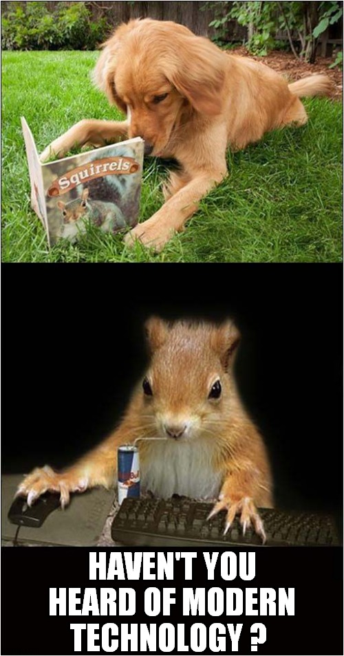 Squirrel's Technological Advantage | HAVEN'T YOU HEARD OF MODERN TECHNOLOGY ? | image tagged in dogs,squirrels,computer | made w/ Imgflip meme maker
