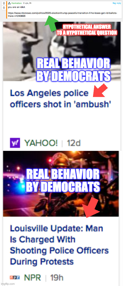 HYPOTHETICAL ANSWER TO A HYPOTHETICAL QUESTION REAL BEHAVIOR BY DEMOCRATS REAL BEHAVIOR BY DEMOCRATS | made w/ Imgflip meme maker