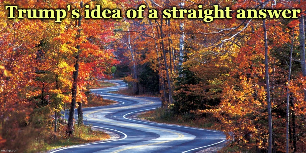 Trump's idea of a straight answer | image tagged in trump,liar,confused,incompetence,psychopath | made w/ Imgflip meme maker